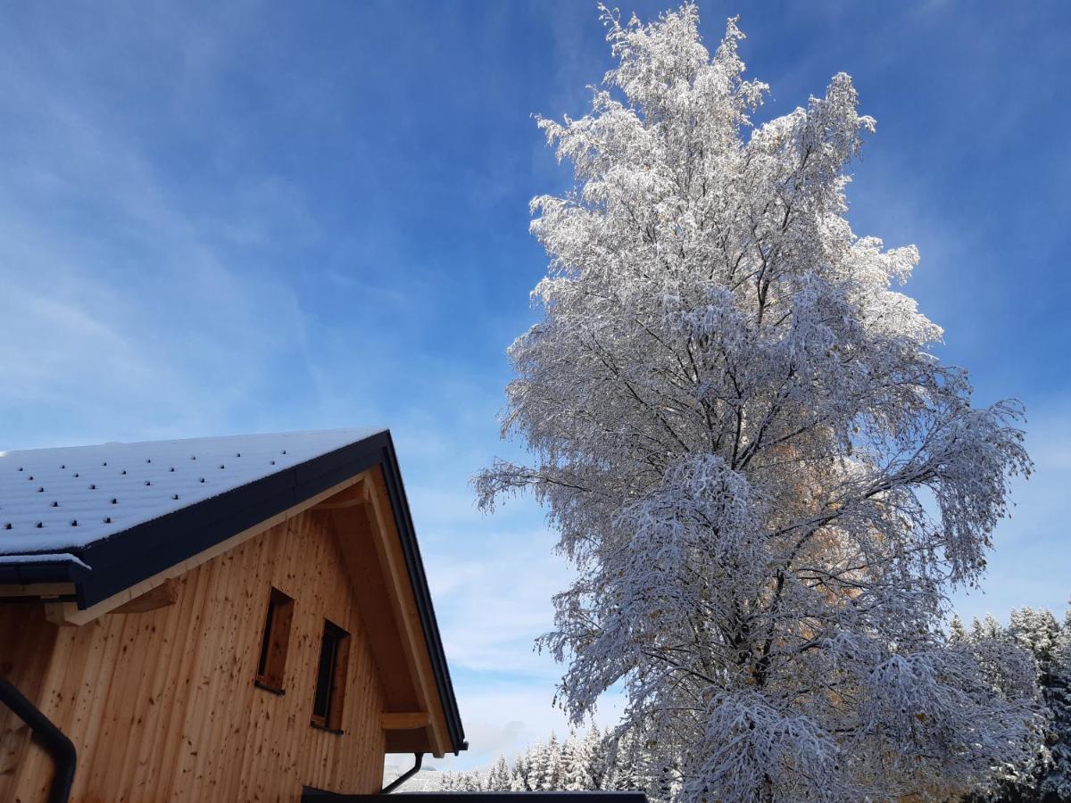 Sankt AndräAuszeit Almhaus Schmalzbauer公寓 外观 照片